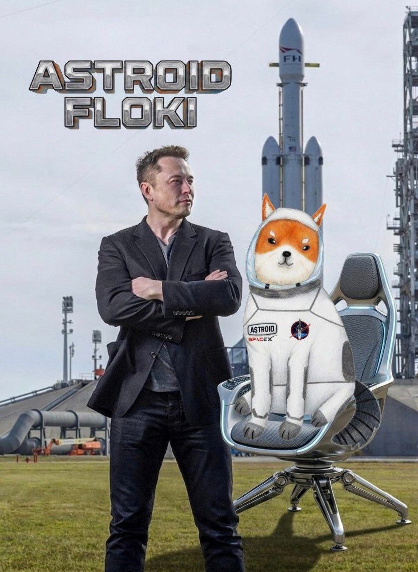 Astroid Floki | $ASTROFLOKI tweet media