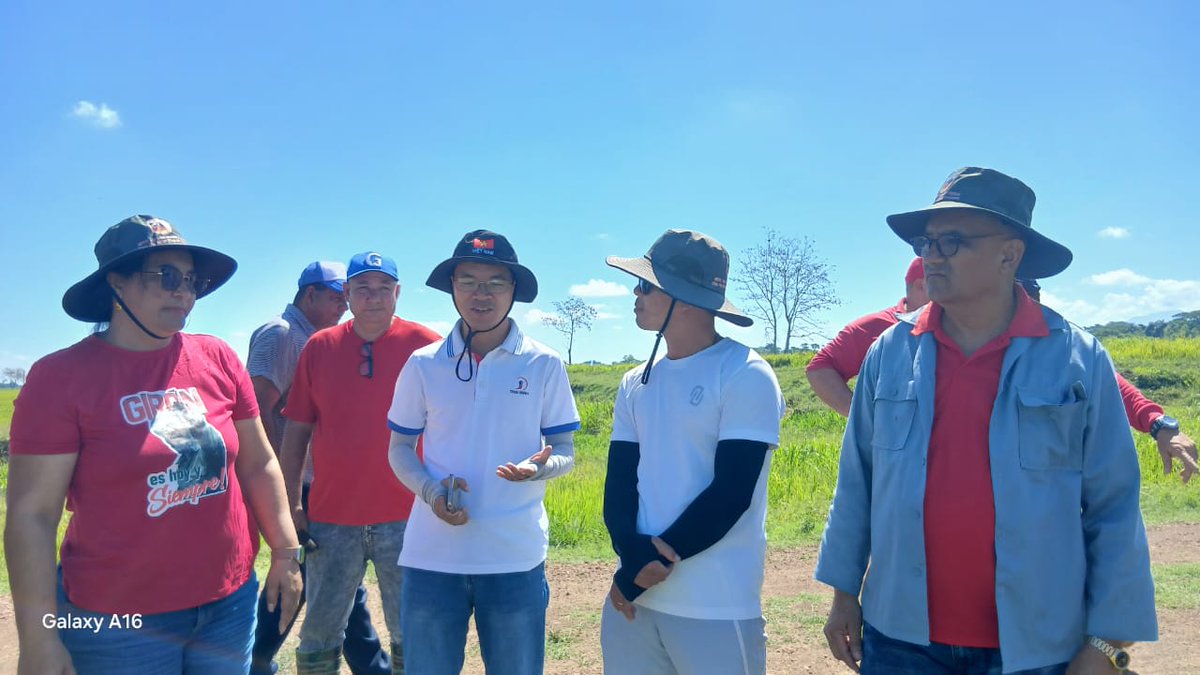 PresidenteYara's tweet image. La Primera Secretaria del Partido de la #ProvinciaGranma, @BarceloOrt92635 y la Gobernadora @YanetsyTerry acompañadas por las principales autoridades políticas y gubernamentales del municipio #Yara, realizan este #Domingo un recorrido por el programa arrocero.