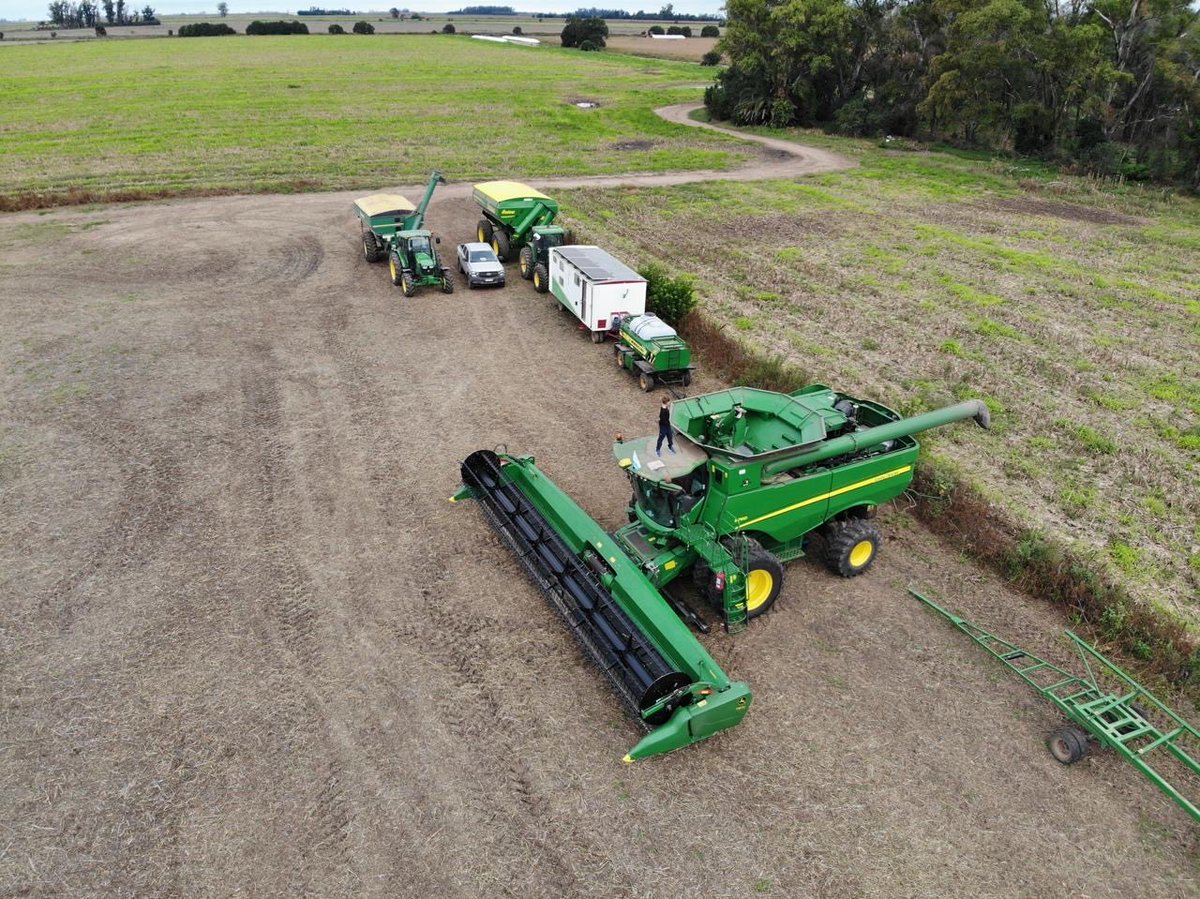 Gustavo M tweet media