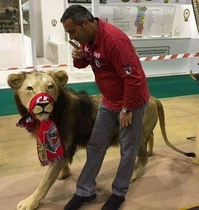 🇵🇲 tweet media