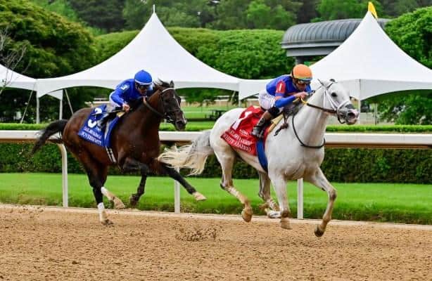 What a whale of a race the Oaklawn Handicap was with the old pro WHITE ABARRIO coming home the conquering hero over SOVEREIGNTY and JOURNALISM. Here is my report from Oaklawn Park 🏇 horseracingnation.com/blogs/zatt/Zip…