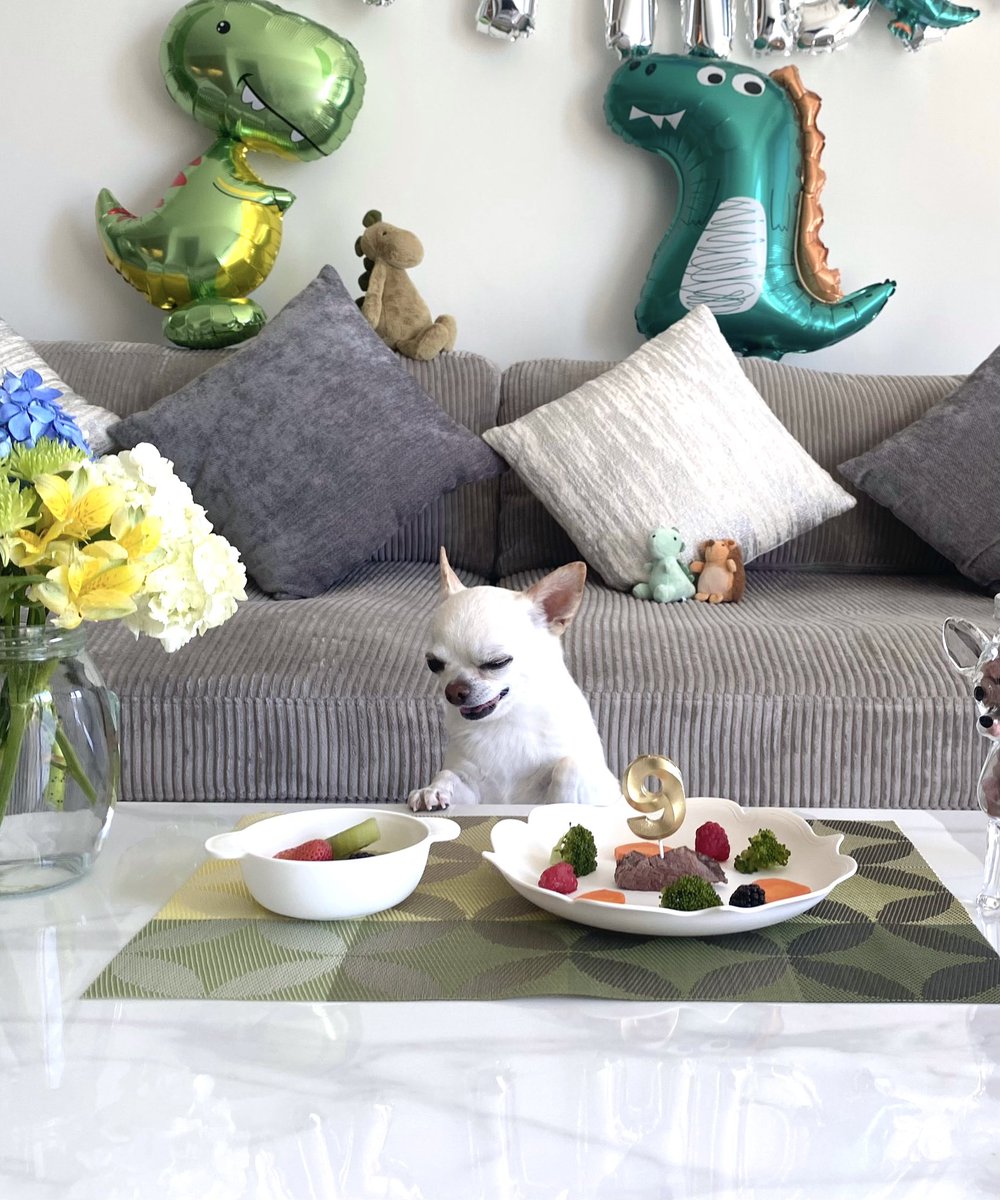 mintalo07221's tweet image. NG集🎬 
①9が気になる
②とどかない
③もうええでしょう
④居ないようで居ます
#dinosaur 
#いろんなディノ