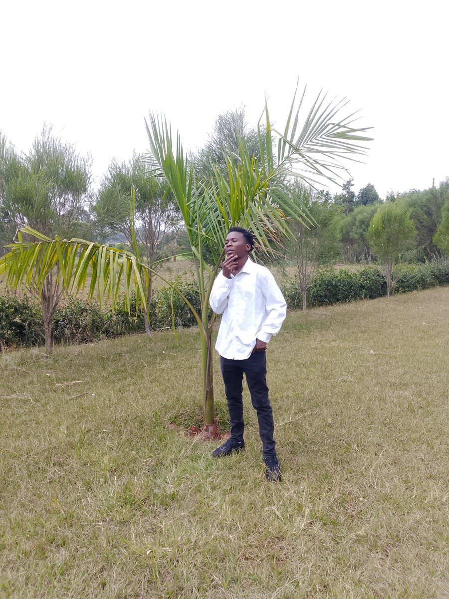 adier_254's tweet image. Jerry &amp;amp; companies is a limited company owned by partners,it's still growing and it's location is in kenya,cheranganyi , MAIN PURPOSE IS"wambiji foundation"All people who require our services are welcomed.
Jerry wambiji 
CEO (Jerry&amp;amp;co)
0757297204
#YouthAction 
#onekenya
#oneworld