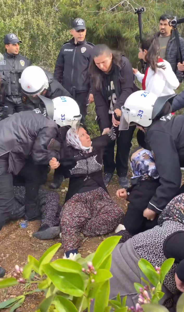 Anladığımız kadarıyla karşılarında toprağını savunan masum köylüler olmadığı için müdahale yapılmadı.