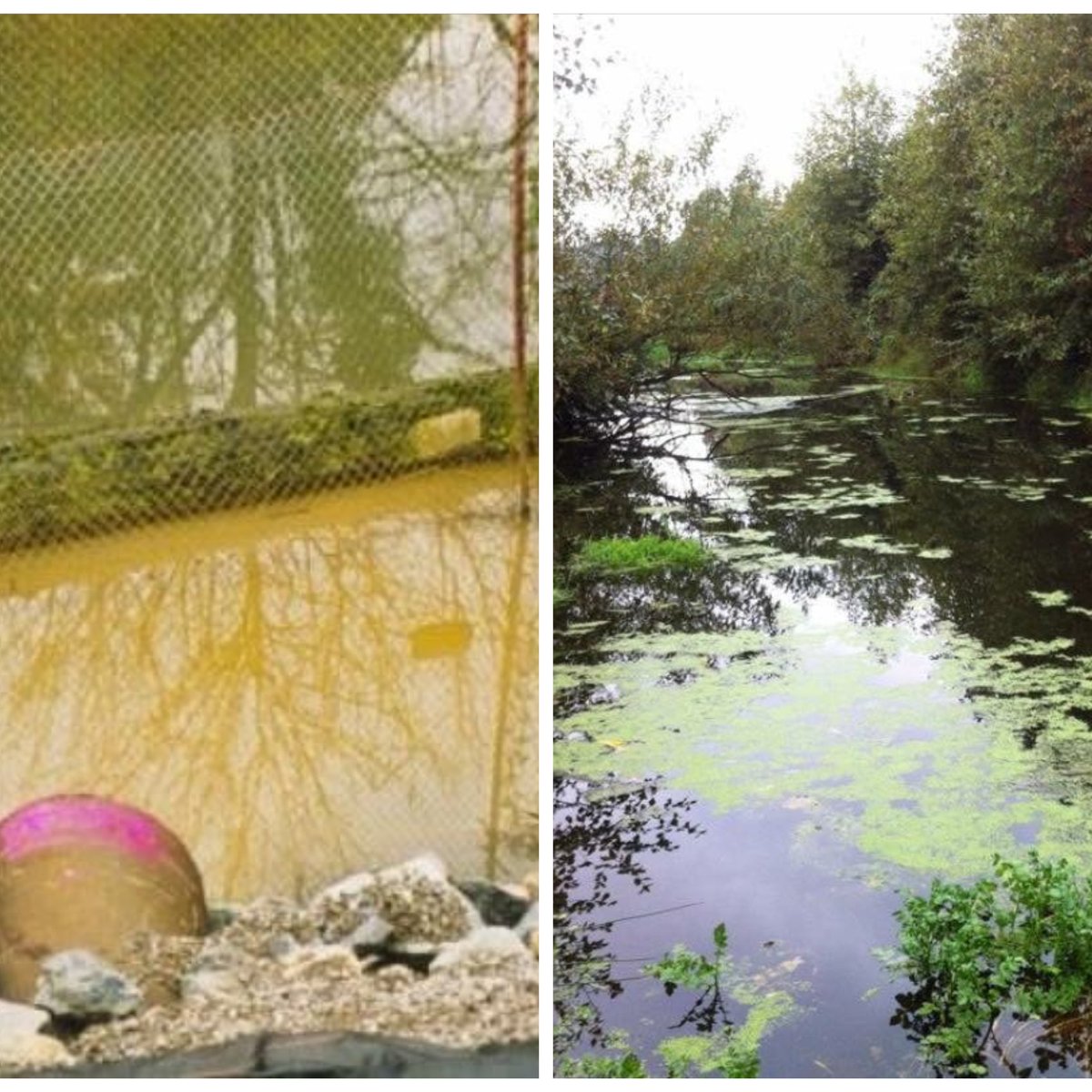 Give A Shit About Nature tweet media