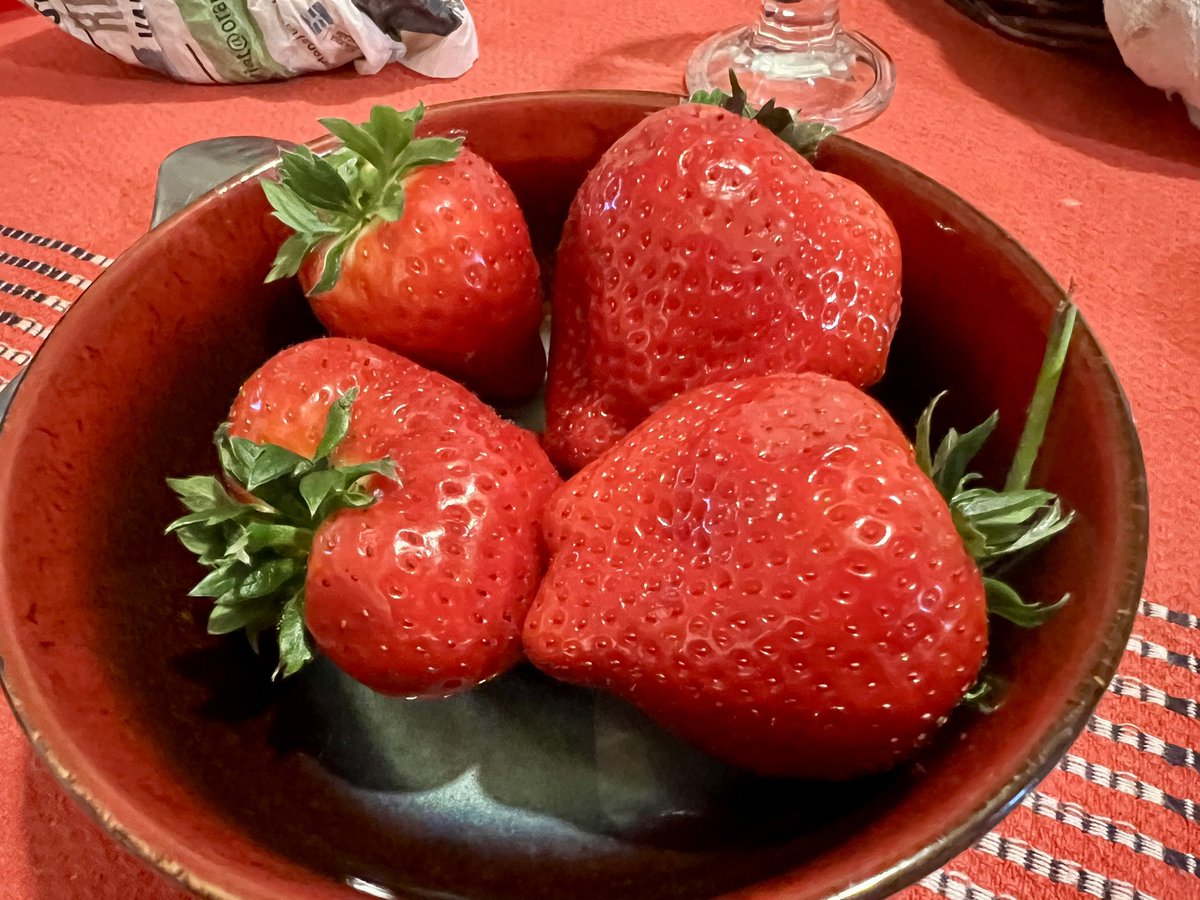 Frédéric Manfrin tweet media