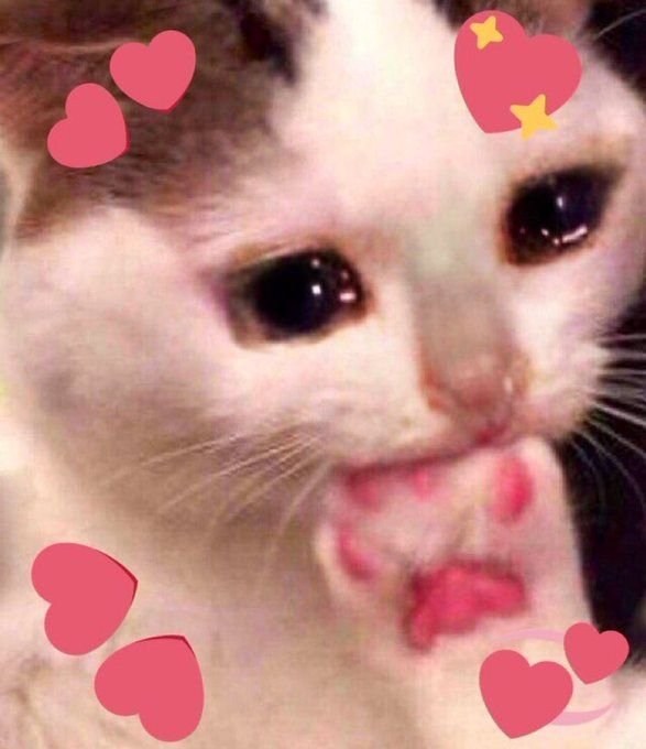 B_Wabii's tweet photo. @Gnarpies Tysm!! I'm so glad u liked it https://t.co/wfNdVgLAiC