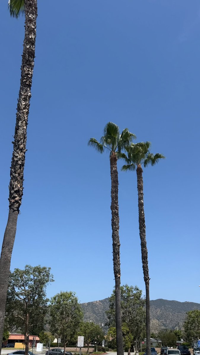 ThomasKong Official TH tweet media