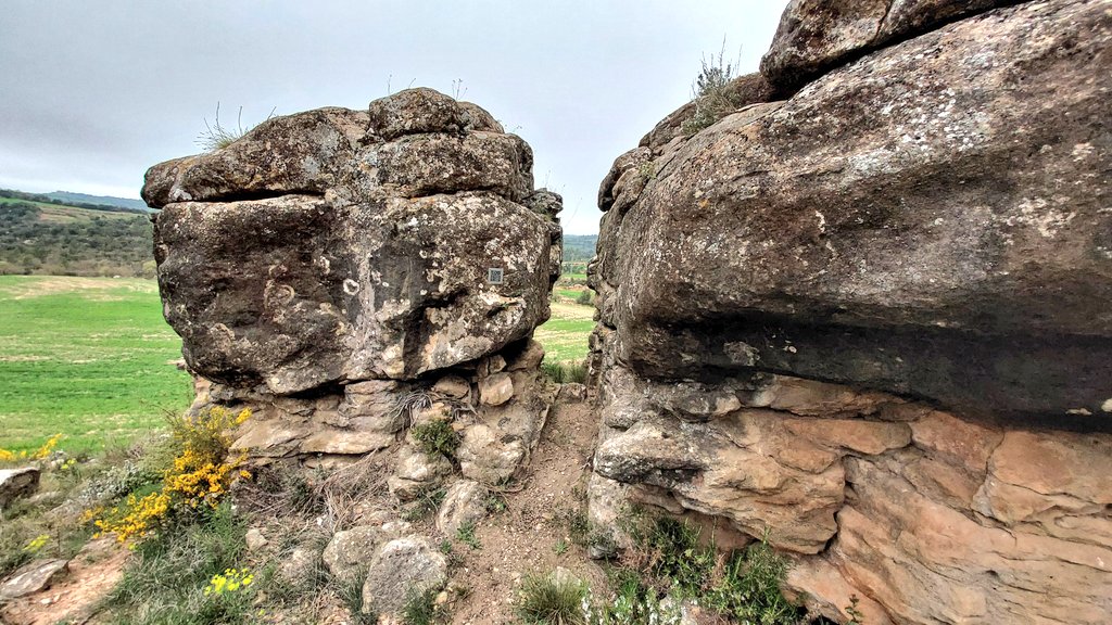 Camins de Sikarra tweet media