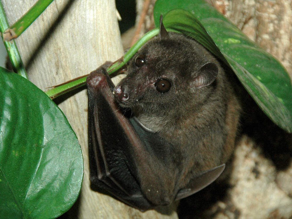 adrienne.🌸 tweet media