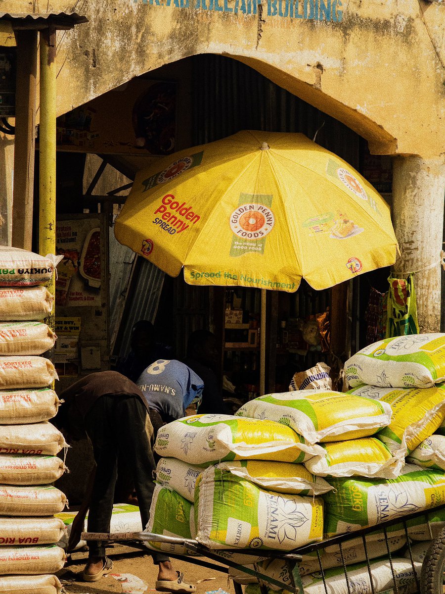 muhammadsh3hu's tweet image. Yellow in Kasuwar Singer 
Kano, 2025
#shotoniphone #vsco #lightroommobile