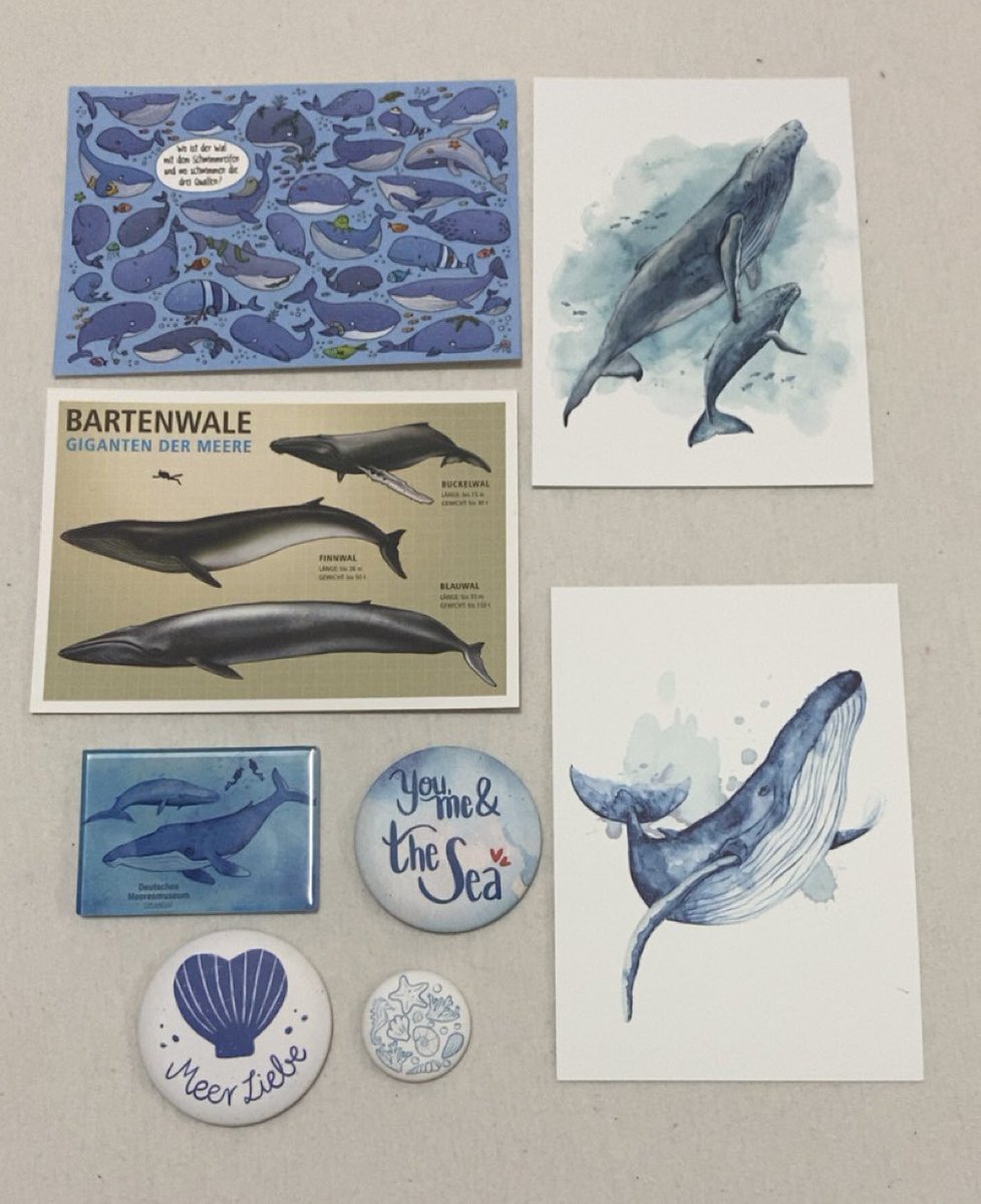 laura ♡ 🐳 tweet media