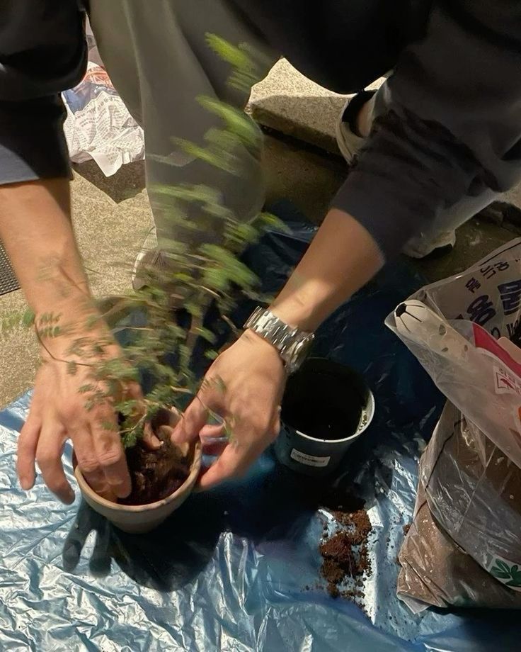 tiempo de calidad con el catire