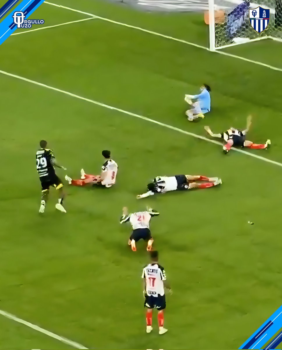 Orgullo Tuzo tweet media