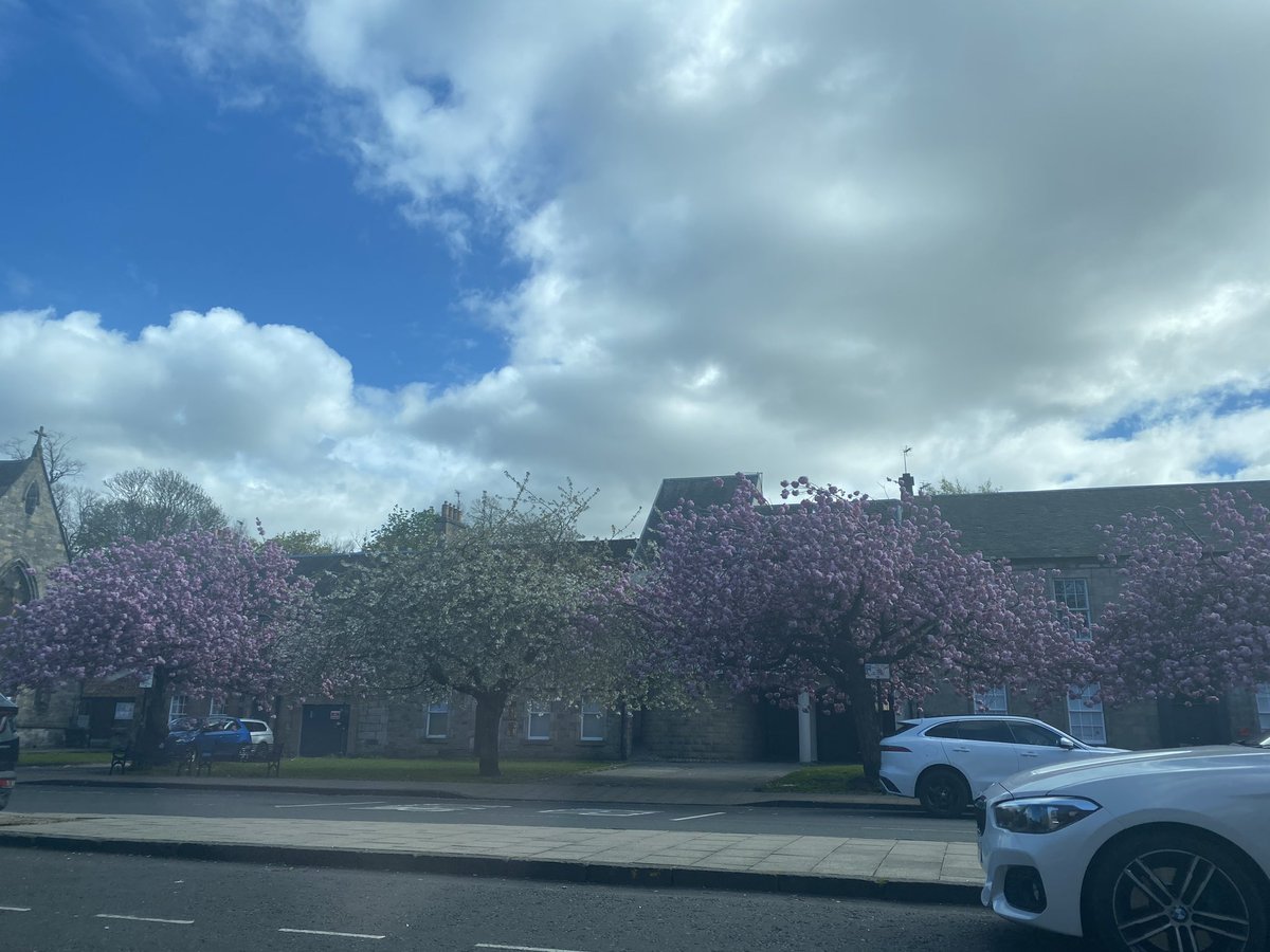 rob_northern's tweet photo. #Musselburgh :)
Off to #SLuca cafe - one day we’ll buy the ice cream in the foyer https://t.co/qlM5IHAHs9