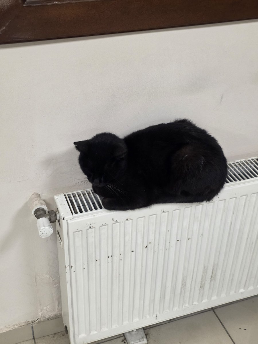 Biyolojik Deli (XY) tweet media