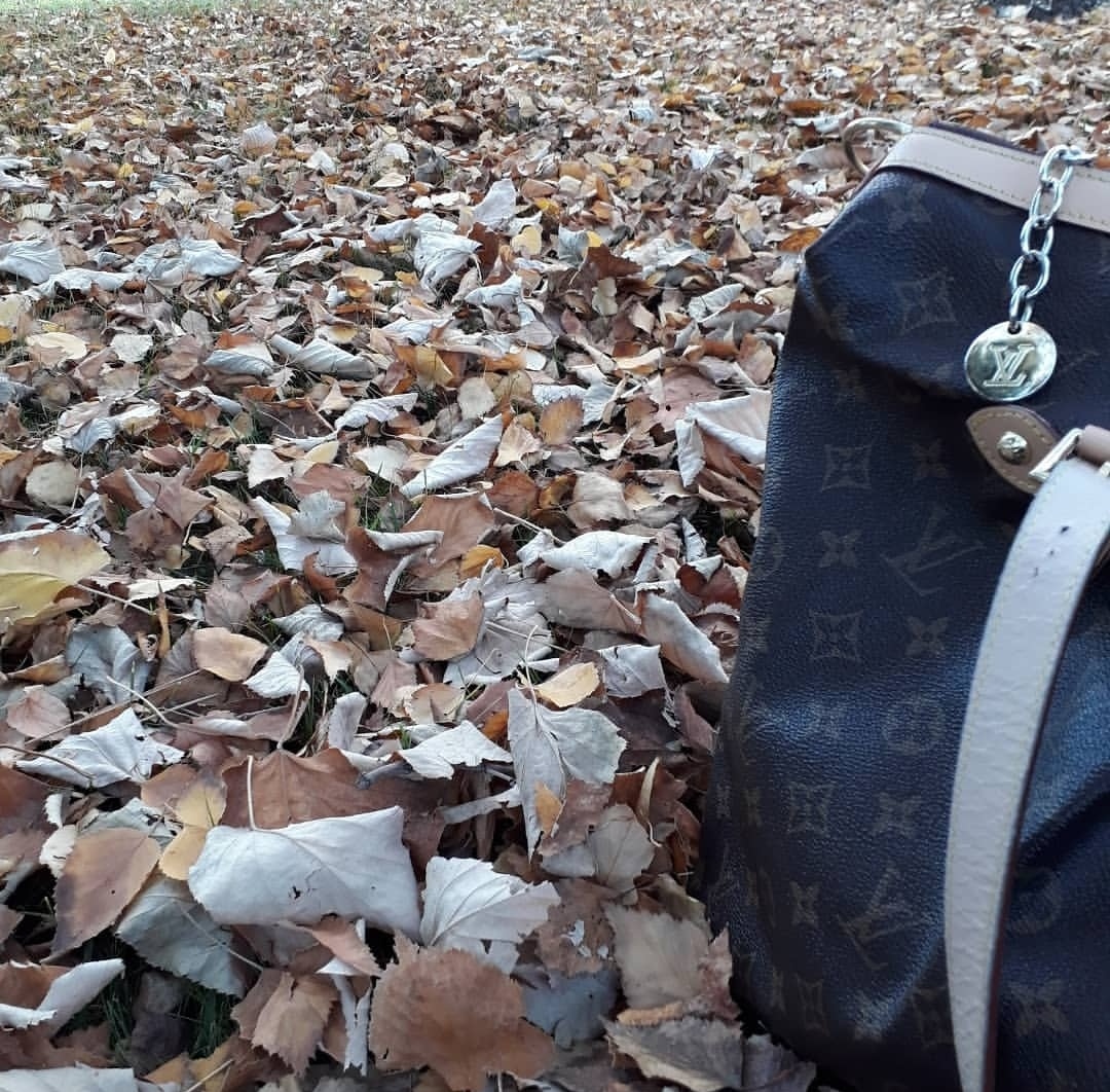 Atamam27🇹🇷 ZEYNA🤍 tweet media