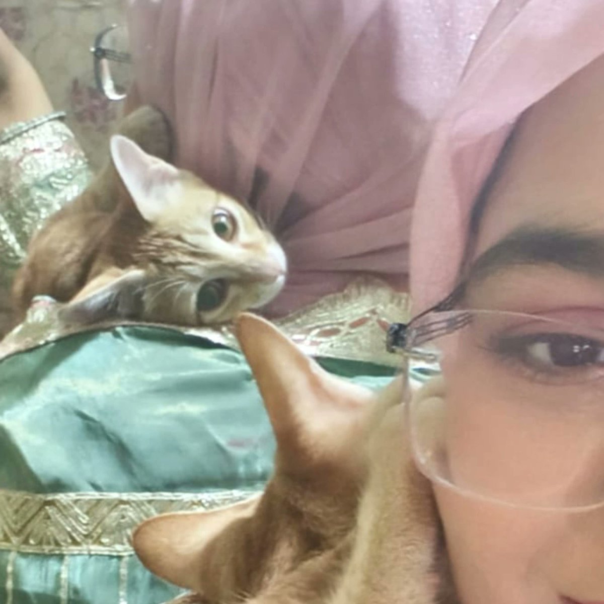 Anatomy of a breakdown tweet media