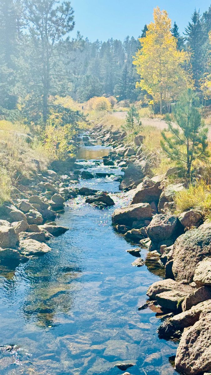 HighCountryJNL's tweet image. Little reminder to get outside more
#ExploreMore #Colorado #Nature #LifeIsGood