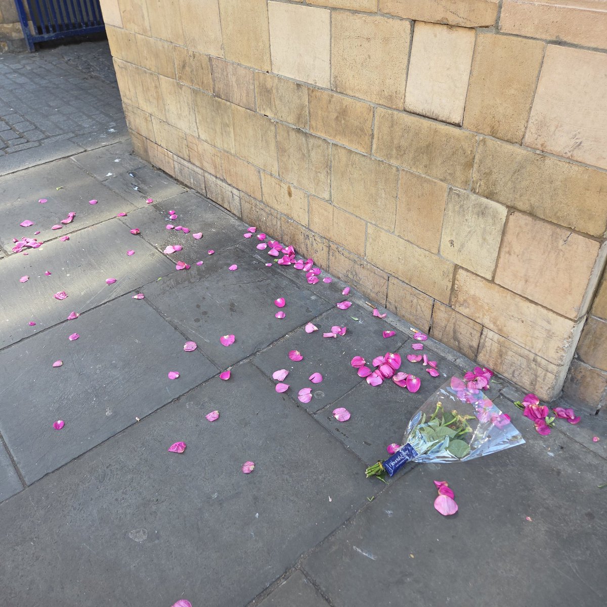 Nile🍚 tweet media