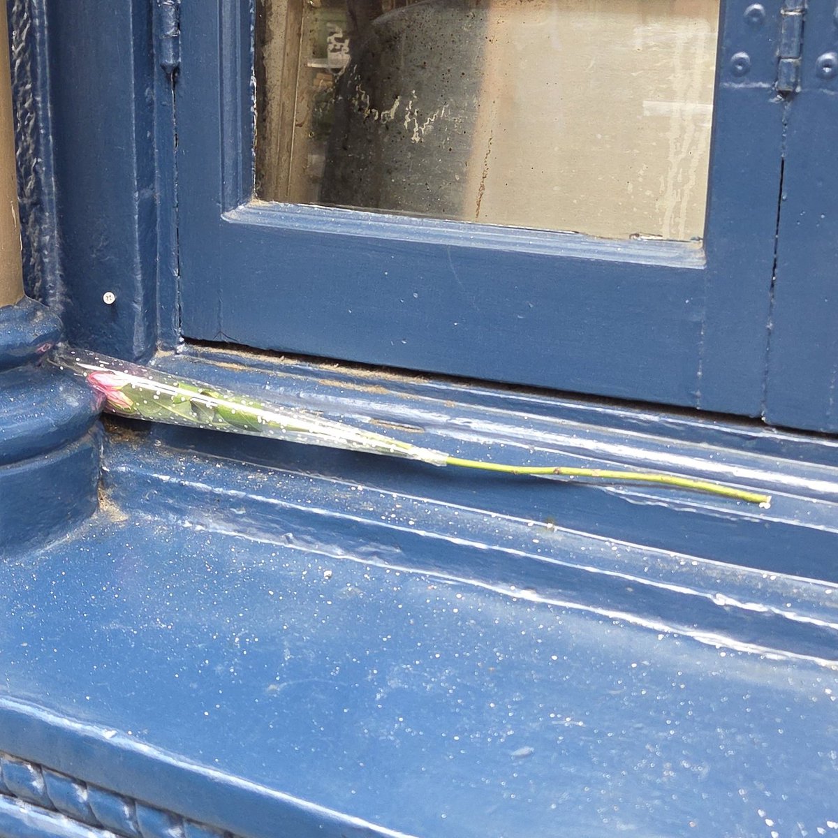 Nile🍚 tweet media