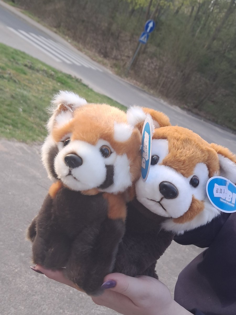 jucha🗝‼️🥺🔪🐰 tweet media