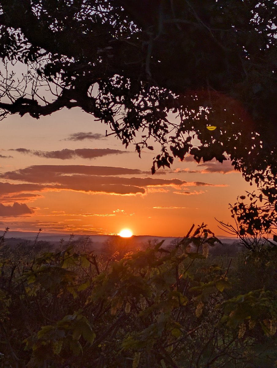 Papadopoli60571's tweet image. Tonight's Sunset, 20:18.#sunset