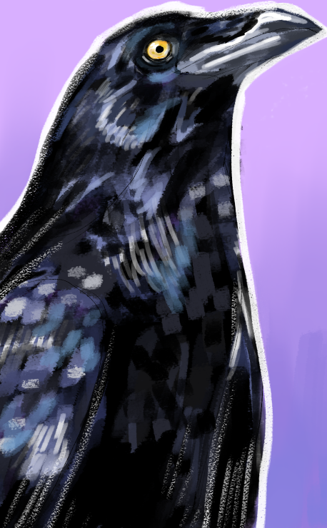 Cocov_ina's tweet image. #crow