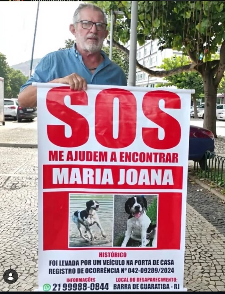 thaiannax's tweet photo. Há 2 anos, levaram o seu bem mais precioso...Dois anos se passaram e ele ainda leva o banner para todo lugar onde alguém possa ver. Desde julho de 2024, Tio Big caminha pelas ruas tentando encontrar a Maria Joana, que desapareceu após ser levada por um veículo na porta de casa.
Imagina sair todos os dias com a esperança de reencontrar quem você ama?
🐶 Dócil, preto e branca, de porte médio
📍 Desapareceu na Barra de Guaratiba – RJ
📞 Informações: 21 99988-0844
@tiobigemariajoana
Compartilha. Às vezes, a pessoa certa só precisa ver esse post.