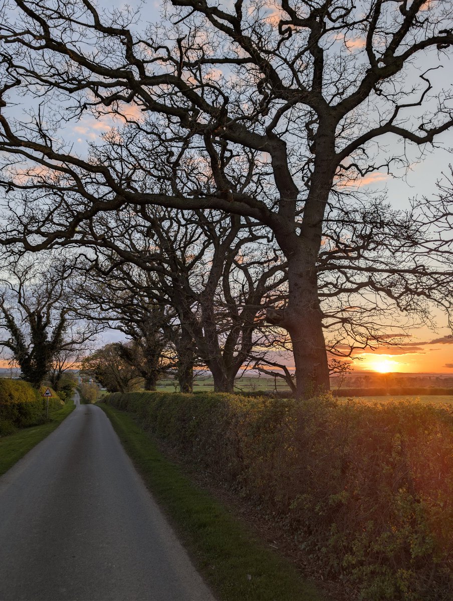 Papadopoli60571's tweet image. #sunset