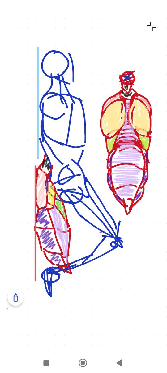 rollingball6's tweet photo. @bugseid Could try it like this maybe, some sort of an extension, an ass cushion/crown, a place to sit, not perfectly straight laying to the ground, but close enough to be comfy ig, It should look like how Leaf Mantis big n wide outer "leaf" shell and then the usual mantis parts beneath https://t.co/jz9ld7cYEX
