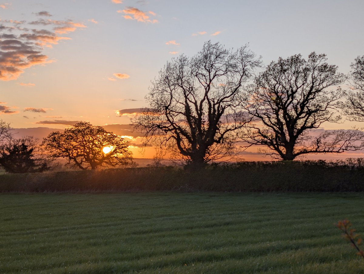 Papadopoli60571's tweet image. #sunset