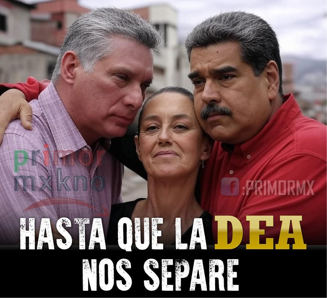 MarRodRa tweet media