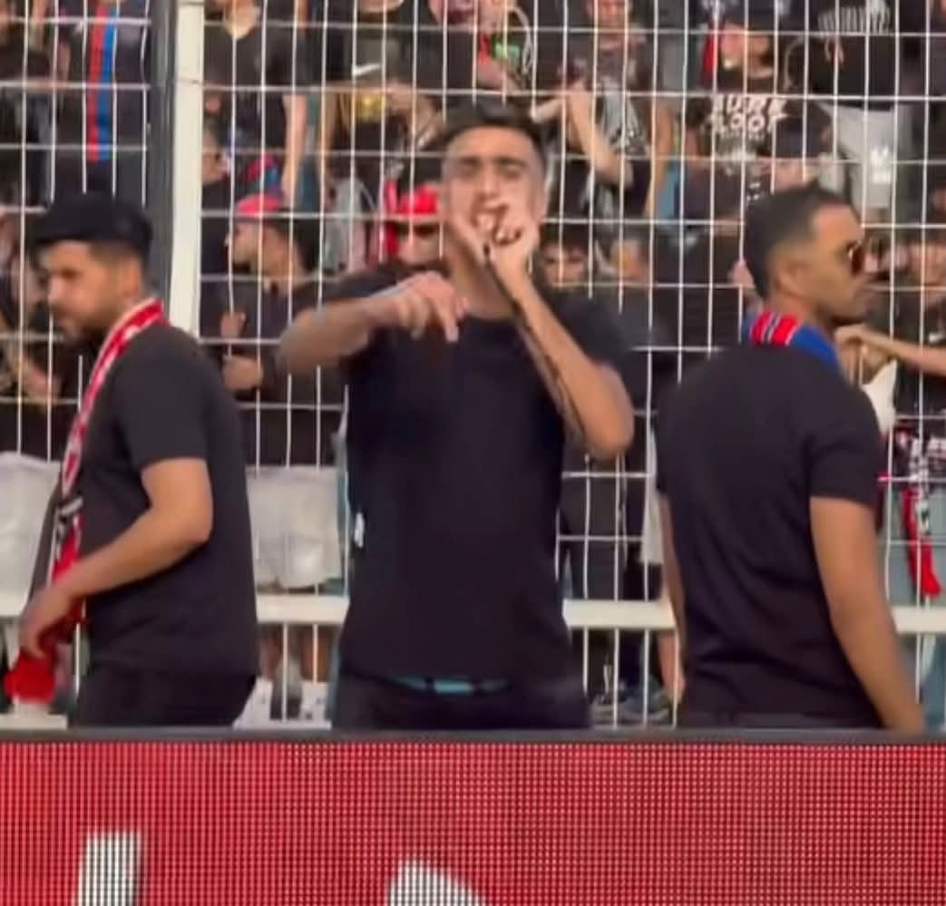 La Gazette du Fennec tweet media