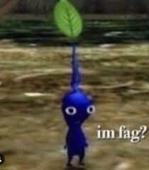 Ivan 🌻🛸 tweet media