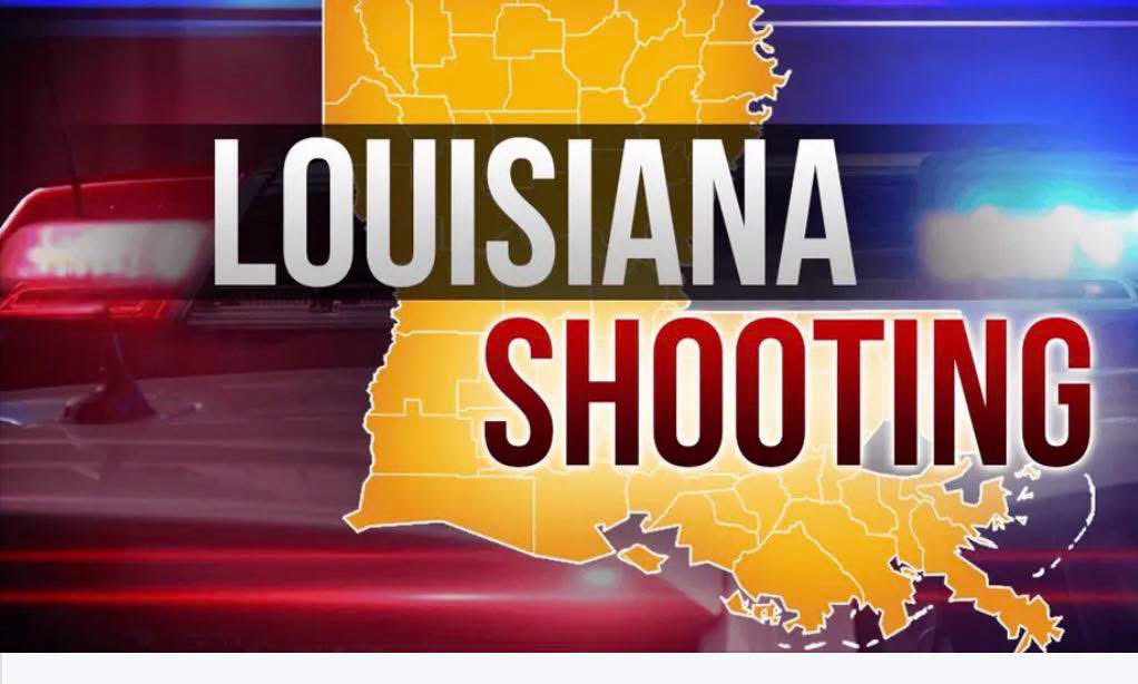 King Roy tweet media