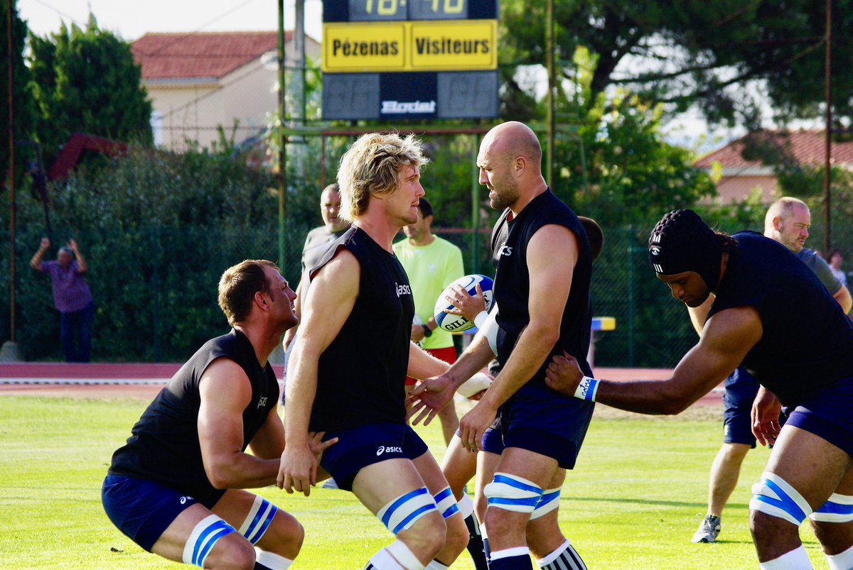 Big Doe Dog tweet media