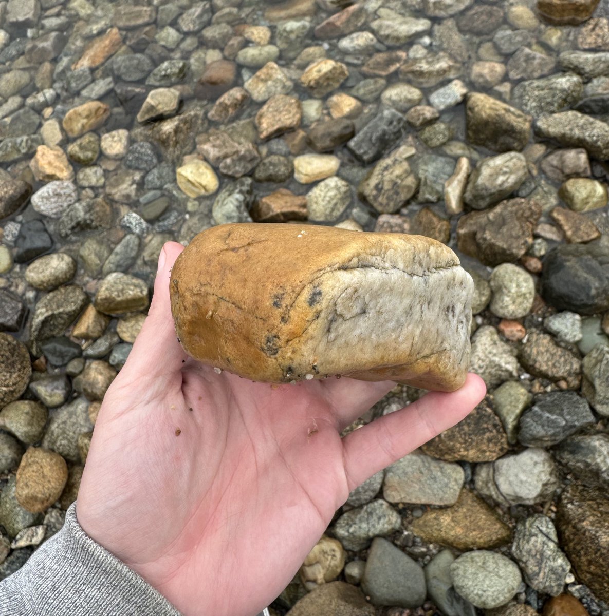 Went looking for rocks that look like meat and only found this dumb rock that looks like a soggy loaf of bread