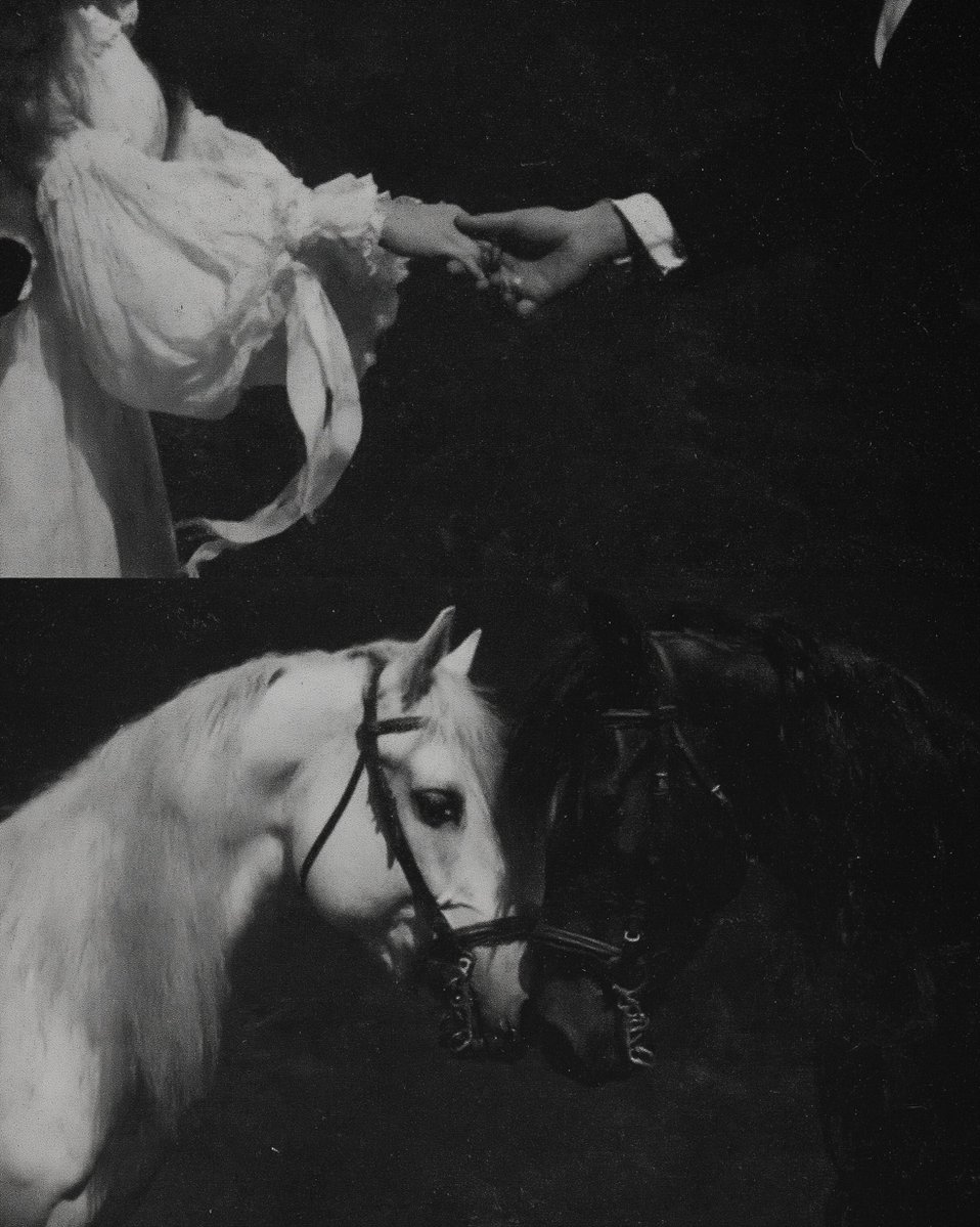 Knight World tweet media