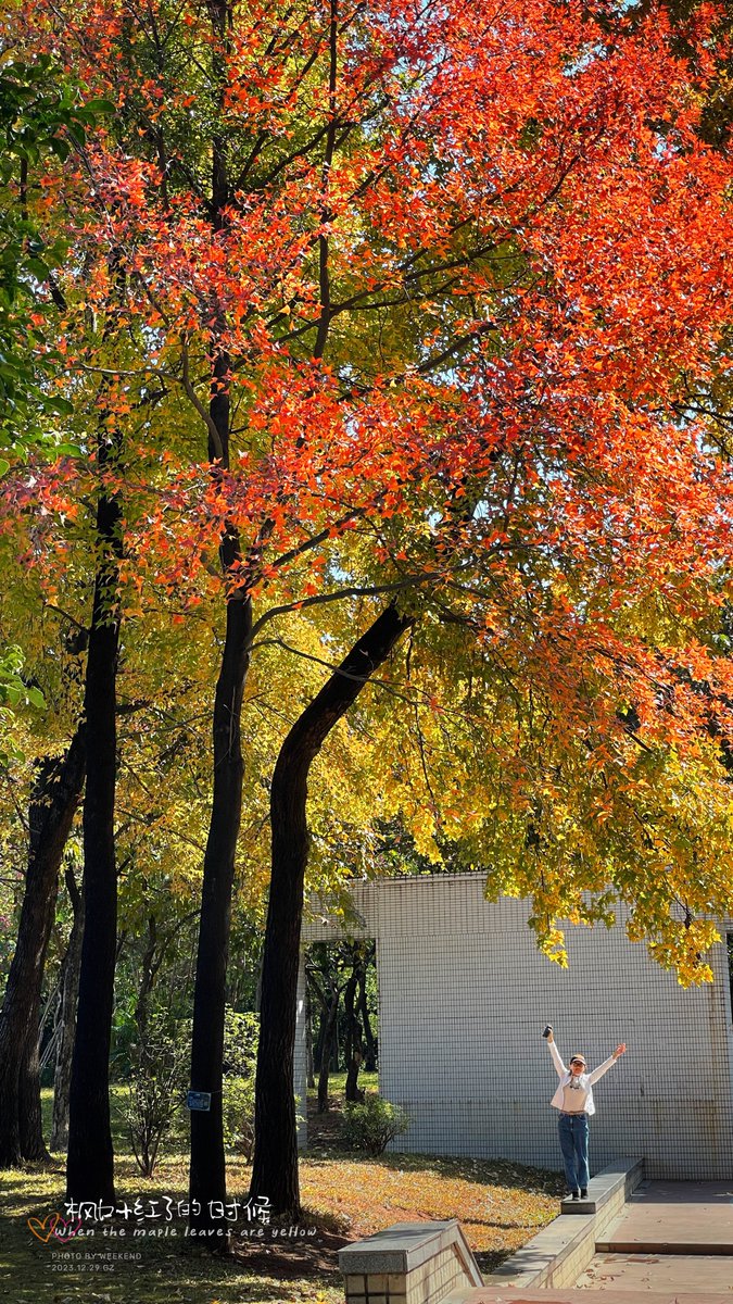 Nathalia Rodrigues tweet media