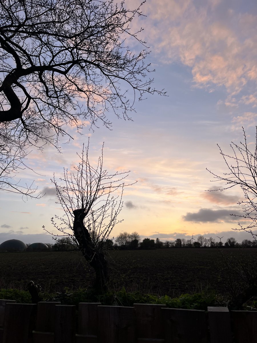 ShahidMAskerN's tweet image. A lovely evening 
#Germany