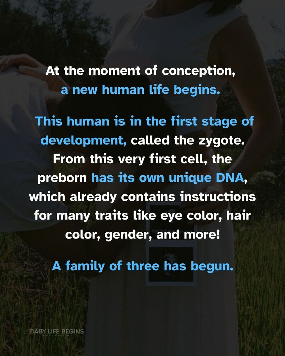 BabyLifeBegins's tweet image. Did you catch what Taylor Lautner said? 👀 Pretty amazing! Tap to learn the science behind what he said ➡️

#humandevelopment #zygote #pregnancy #taylorlautner #babylifebegins 📸: @Taylorlautner, photo modified