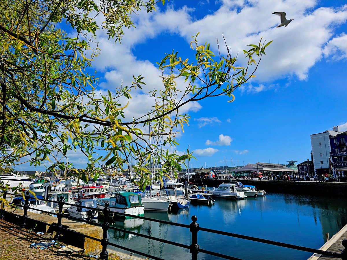 JackieGMs66's tweet image. What a gorgeous weekend @britainsocean #TheBarbican #Plymouth #weekend #sunshine