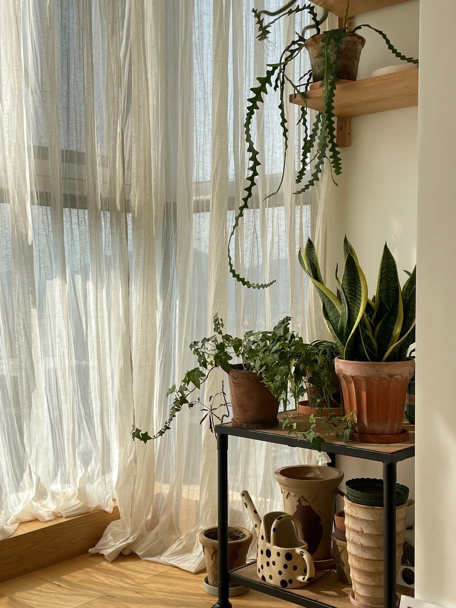 Pamela Rengering tweet media