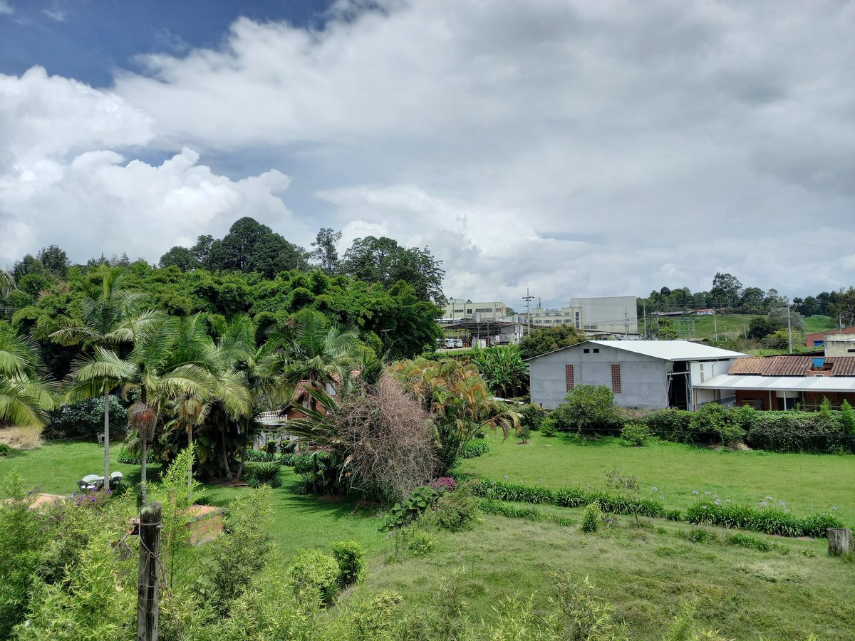 Alternativa Regional tweet media