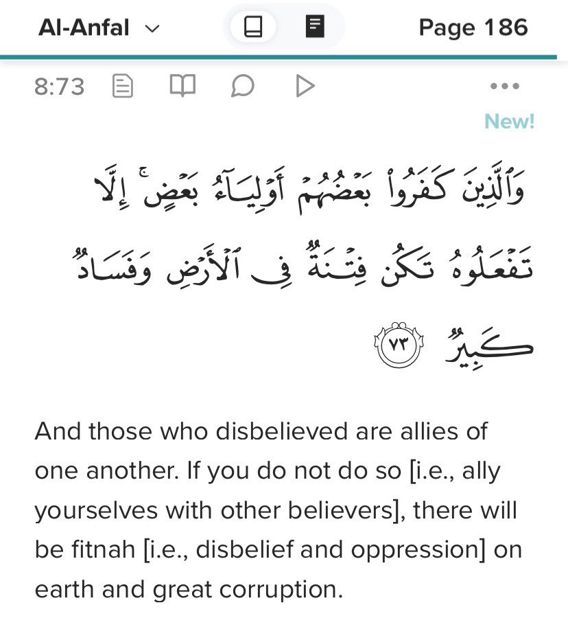 Journo Jet Dude tweet media