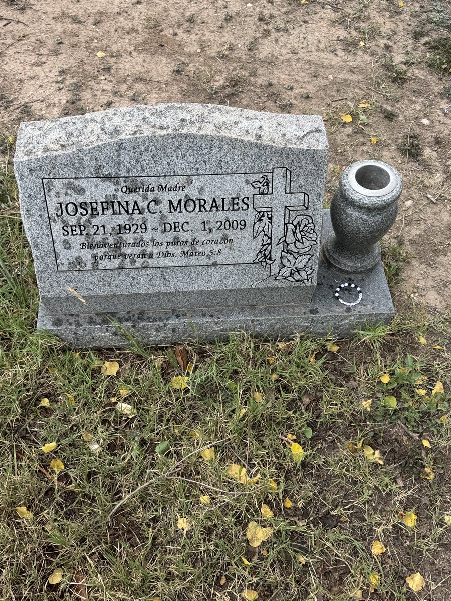 Martha | 🤪 tweet media