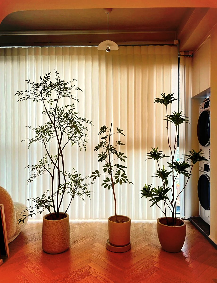 John Hall tweet media