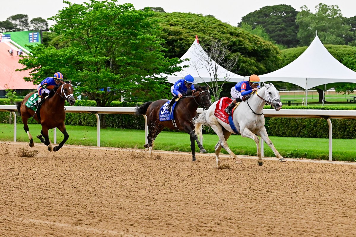 Racing Dudes tweet media