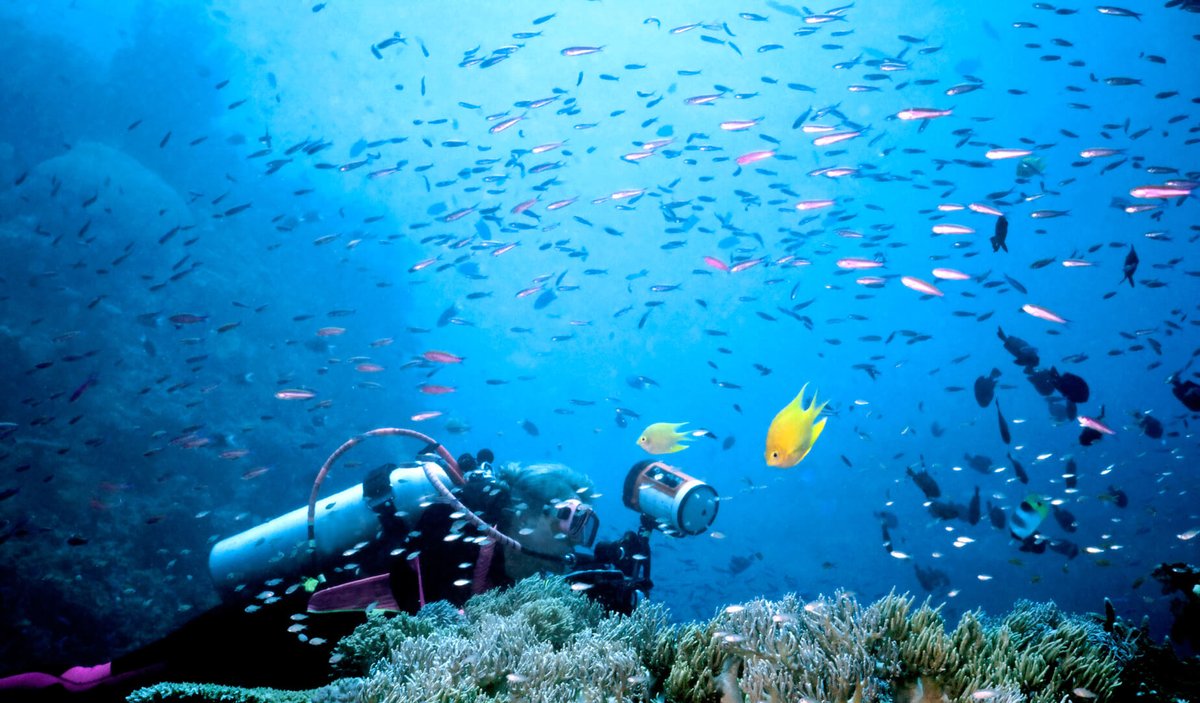 SecretFlying's tweet image. Non-stop from #Dallas, Texas to Fiji for only $625 roundtrip with Fiji Airways #Travel

secretflying.com/posts/dallas-t…